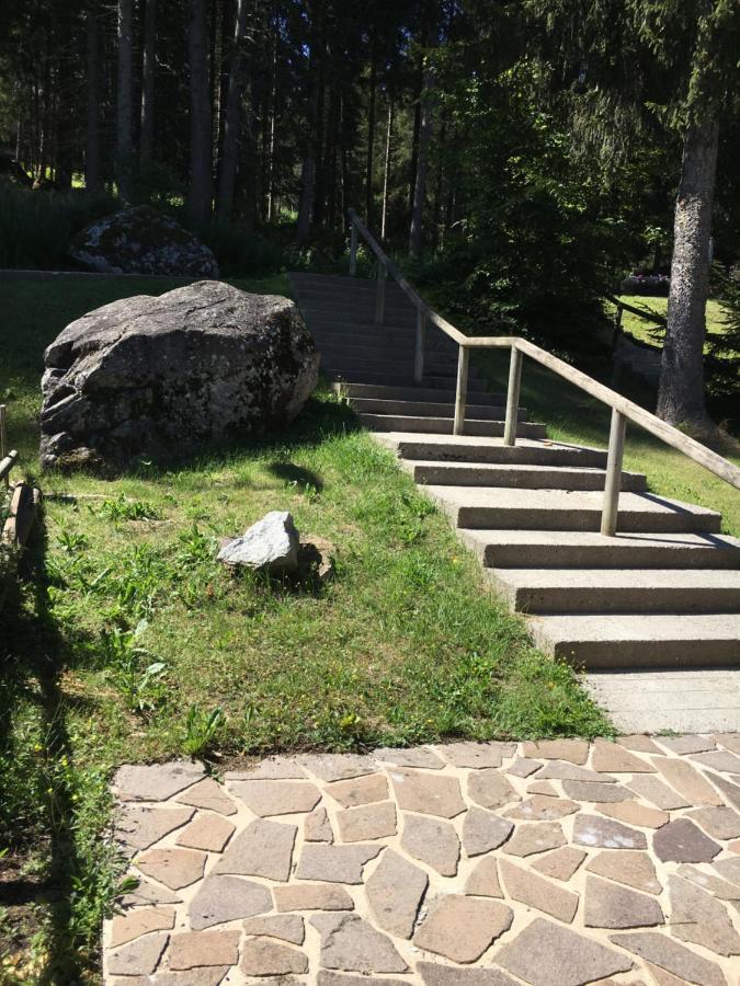 Sul Cucuzzolo Lejlighed Marilleva Eksteriør billede